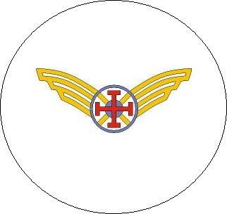 Insignia de la rama Tropa Raider